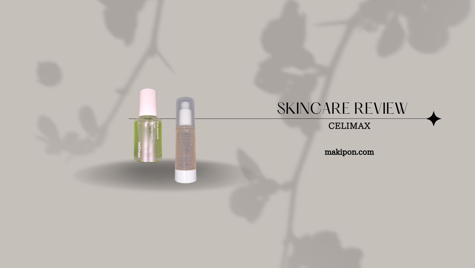 セリマックスパルスのリーフレット